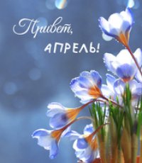 Афиша мероприятий. Апрель 