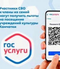 Сервис подтверждения статуса участника СВО на Госуслугах