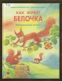 Как живёт белочка 