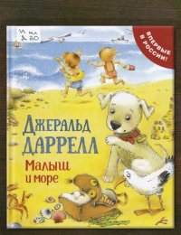 Малыш и море