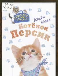 Котёнок Персик