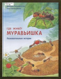 Как живёт муравьишка