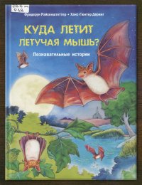 Куда летит летучая мышь?