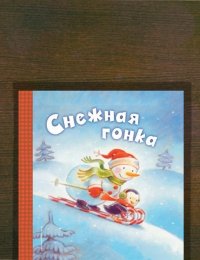 Снежная гонка