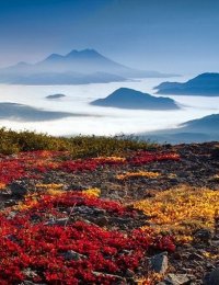 Мой край родной, тобой любуюсь