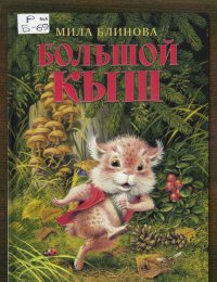 Большой Кыш