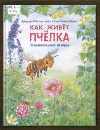Как живёт пчёлка