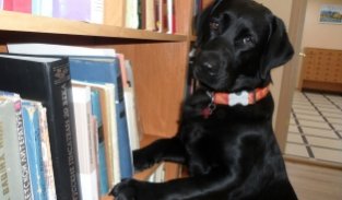 Отложи гаджет, возьми книгу!